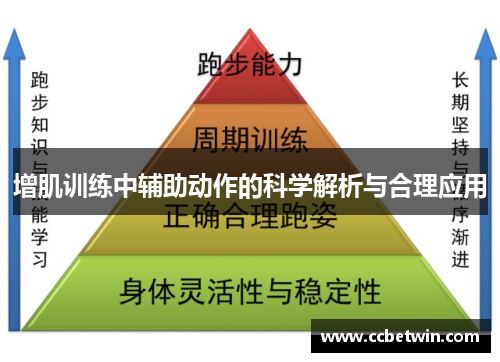 增肌训练中辅助动作的科学解析与合理应用