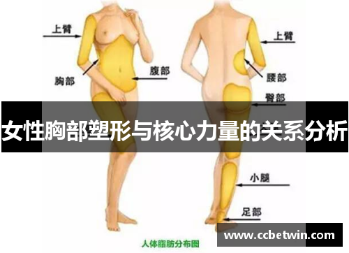 女性胸部塑形与核心力量的关系分析